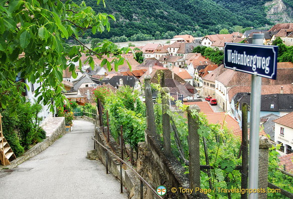 Weitenbergweg