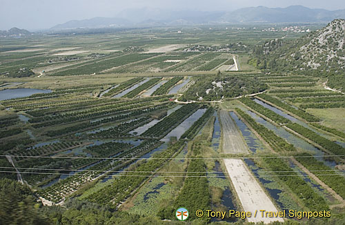 Bosnia-Herzegovina