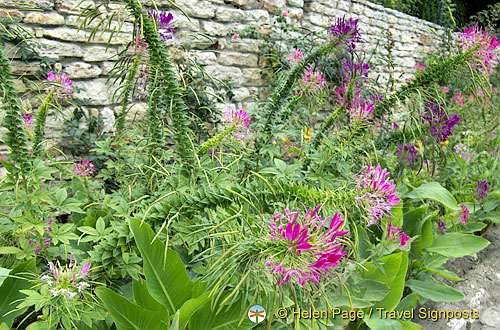 The Botanical Gardens and Queen Marie's Palace, Balchik, Bulgaria