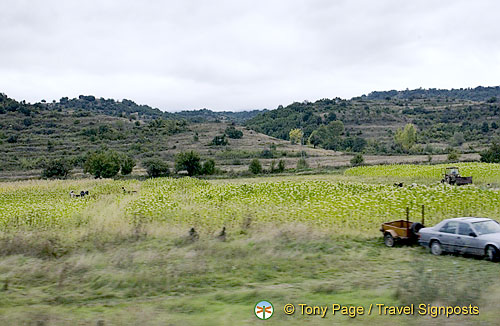 On the road in Bulgaria