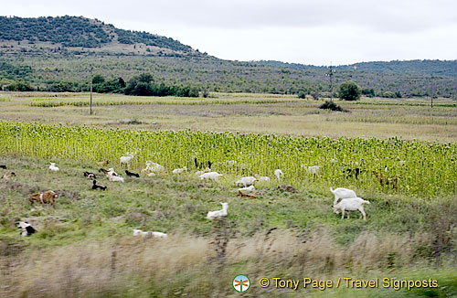 On the road in Bulgaria