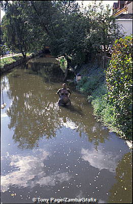 Trebon, Bohemian Lakes