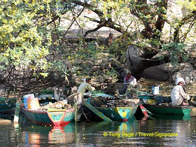 Life along the river.

[Aswan - Nile River -Egypt]