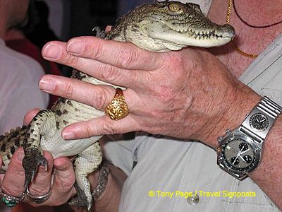 Tony and his new friend Sorbek [Aswan - Egypt]