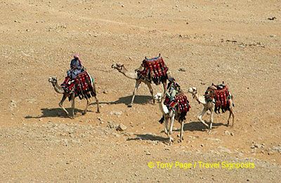 
[The Giza Plateau - The Great Pyramids - Egypt]