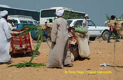 
[The Giza Plateau - The Great Pyramids - Egypt]