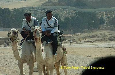 
[The Giza Plateau - The Great Pyramids - Egypt]