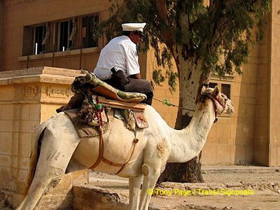 [The Giza Plateau - The Great Pyramids]