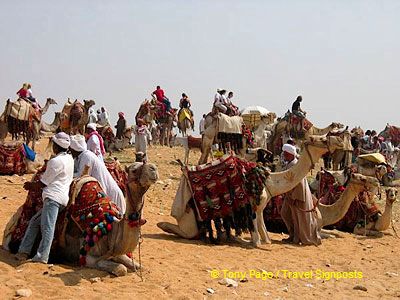 Camel park.

[The Giza Plateau - The Great Pyramids - Egypt]