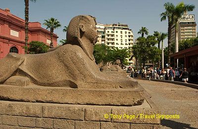 The Sphinx guarding the entrance to the Cairo Museum
[Egyptian Museum - Cairo - Egypt]