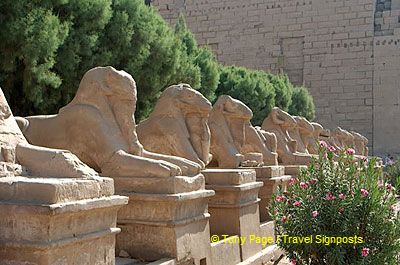 [Temple of Karnak - the Nile Valley - Egypt]