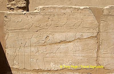 [Temple of Karnak - the Nile Valley - Egypt]