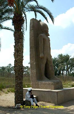 In the garden can be found more statues of Rameses II.
[Temple of Ptah - Mit Rahina village - Memphis - Egypt]