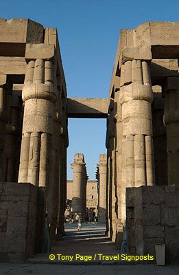 [Temple of Luxor - Egypt]