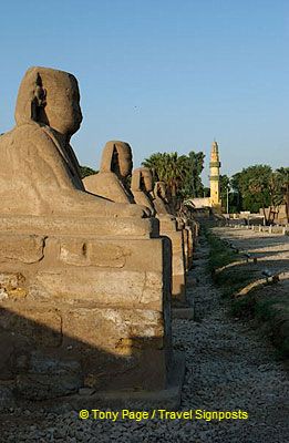 [Temple of Luxor - Egypt]