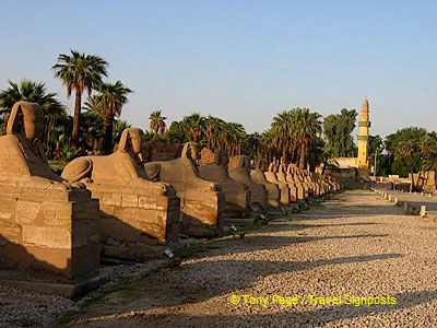 [Temple of Luxor - Egypt]