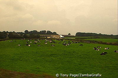 Welsh countryside en route to Cardiff
[Cardiff - Wales]