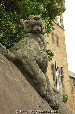 Animal Wall
[Cardiff Castle - Cardiff - Wales]