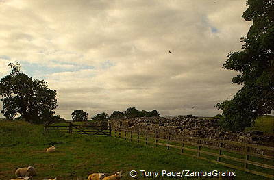 Northumbria | The North Country