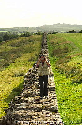 Northumbria | The North Country