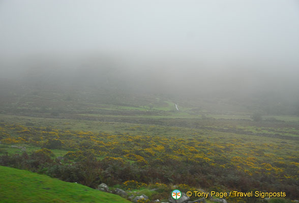 Dartmoor National Park