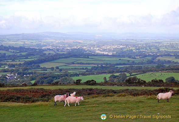 Dartmoor National Park