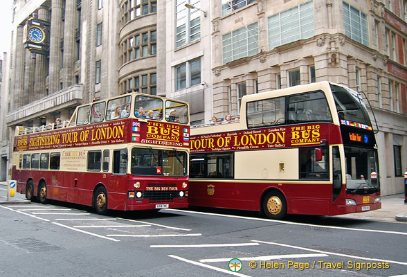 Sightseeing buses