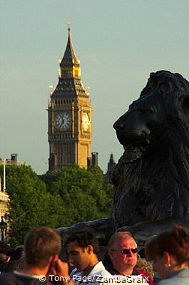 Trafalgar Square Lion