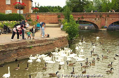 [Stratford-upon-Avon - England]