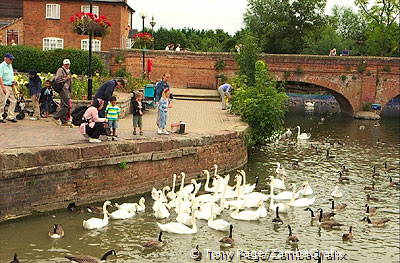 [Stratford-upon-Avon - England]