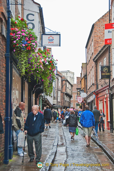 The Shambles