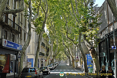 Avignon, Provence, France