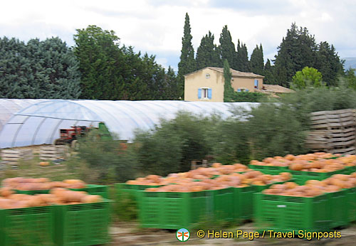 Cavaillon and Luberon, France