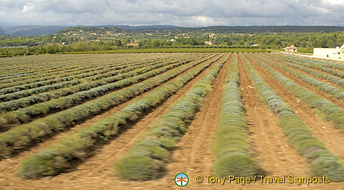 Cavaillon and Luberon, France