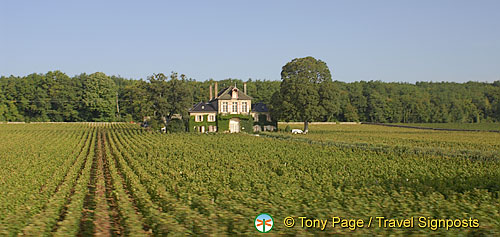 Cote d'Or, France