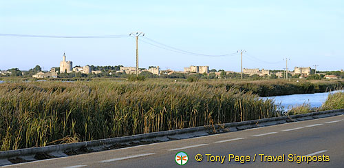 The Camargue - Provence, France