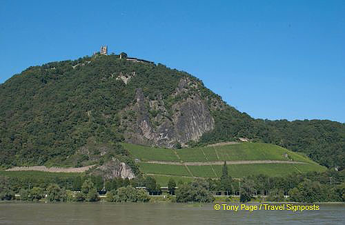 Vineyards of Unkel