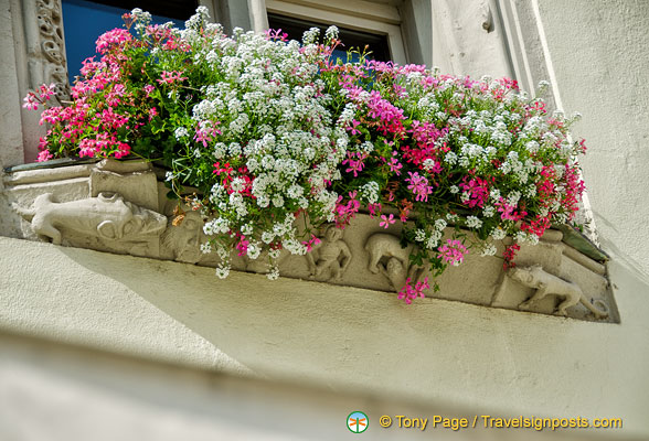 Old Town Hall window ledges with mythical animals