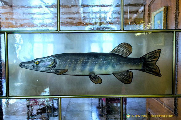 The blue pike