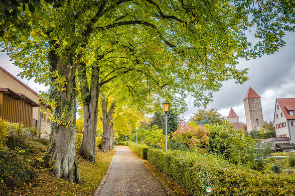 Walking path 