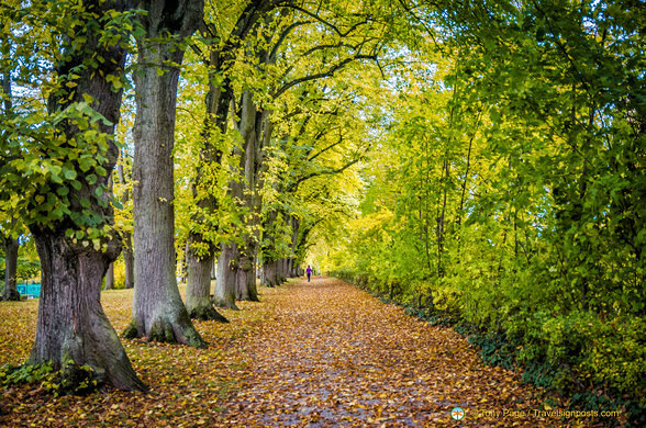 Dinkelsbühl Alte Promenade