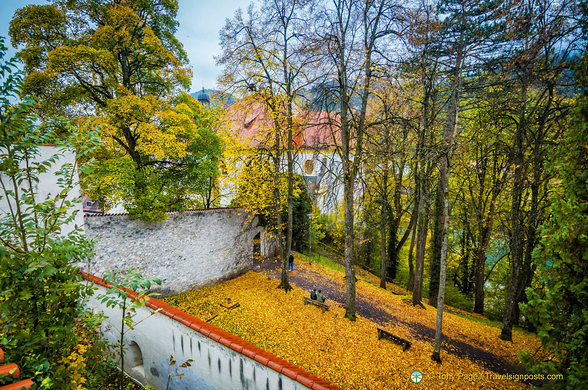 Fall colours at the High Palace