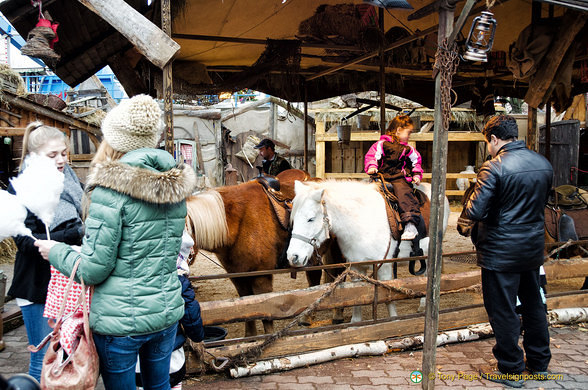 A world of animals at the Berlin Christmas market