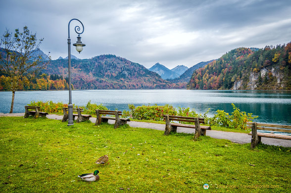 Pristine Alpsee Lake