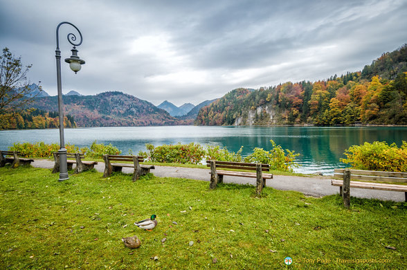 Alpsee Lake