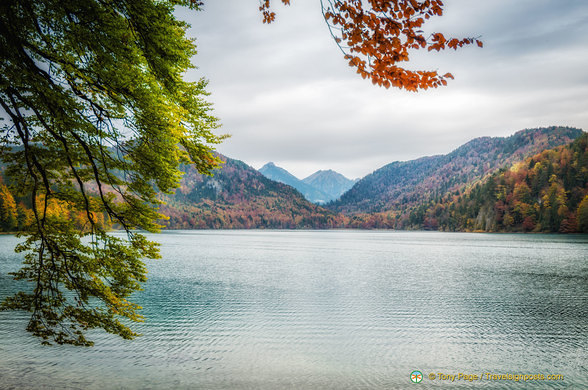 Scenic view of Alpsee