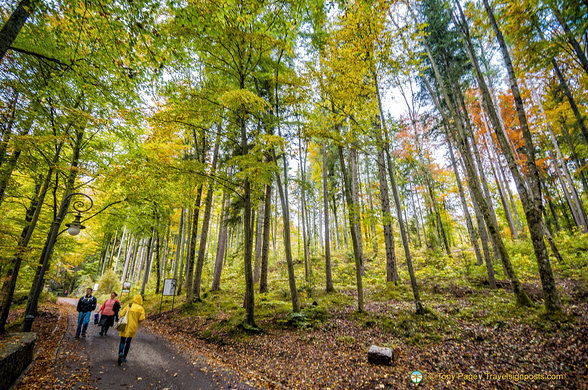 Fürstenstrasse Trail