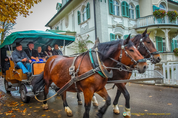 Horse-and-carriage