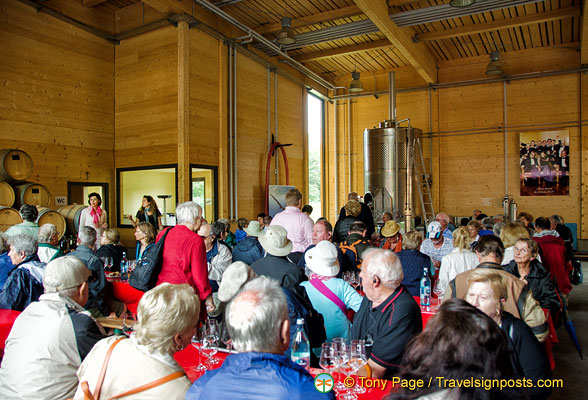 Wine-tasting session at the Fürst Löwenstein estate