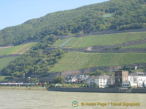 Assmannshausen near Rüdesheim